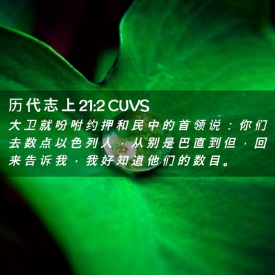 Picture 02 - 历 代 志 上 21:2 CUVS - 大 卫 就 吩 咐 约 押 和 民 中 的 首 - Bible Verse Picture