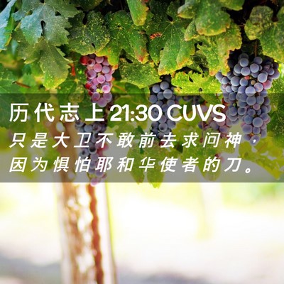 Picture 02 - 历 代 志 上 21:30 CUVS - 只 是 大 卫 不 敢 前 去 求 问 神 ， - Bible Verse Picture