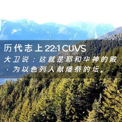 Picture 02 - 历 代 志 上 22:1 CUVS - 大 卫 说 ： 这 就 是 耶 和 华 神 的 - Bible Verse Picture