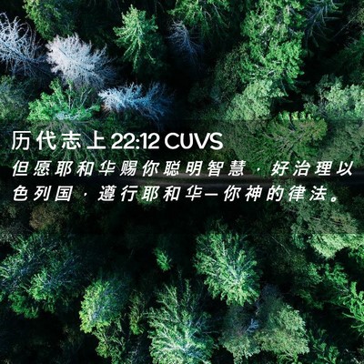 Picture 02 - 历 代 志 上 22:12 CUVS - 但 愿 耶 和 华 赐 你 聪 明 智 慧 ， - Bible Verse Picture