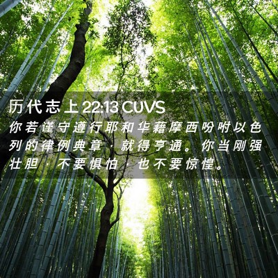 Picture 02 - 历 代 志 上 22:13 CUVS - 你 若 谨 守 遵 行 耶 和 华 藉 摩 西 - Bible Verse Picture