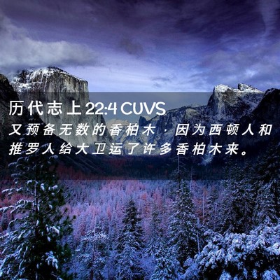 Picture 02 - 历 代 志 上 22:4 CUVS - 又 预 备 无 数 的 香 柏 木 ， 因 为 - Bible Verse Picture