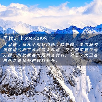 Picture 02 - 历 代 志 上 22:5 CUVS - 大 卫 说 ： 我 儿 子 所 罗 门 还 年 - Bible Verse Picture