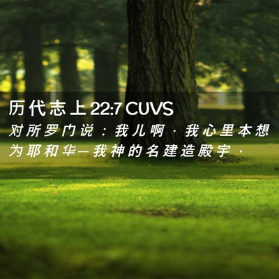 Picture 02 - 历 代 志 上 22:7 CUVS - 对 所 罗 门 说 ： 我 儿 啊 ， 我 心 - Bible Verse Picture
