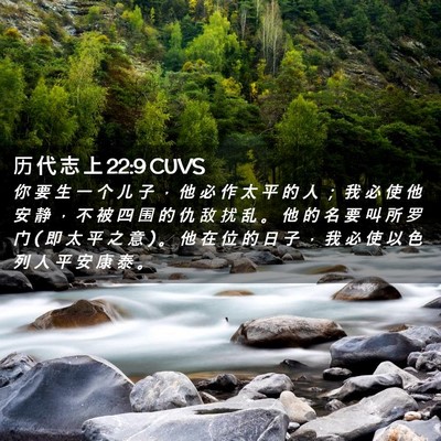 Picture 02 - 历 代 志 上 22:9 CUVS - 你 要 生 一 个 儿 子 ， 他 必 作 太 - Bible Verse Picture