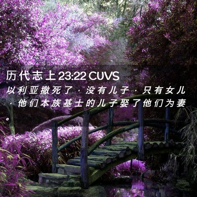 Picture 02 - 历 代 志 上 23:22 CUVS - 以 利 亚 撒 死 了 ， 没 有 儿 子 ， - Bible Verse Picture