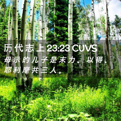 Picture 02 - 历 代 志 上 23:23 CUVS - 母 示 的 儿 子 是 末 力 、 以 得 、 - Bible Verse Picture