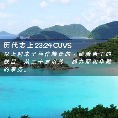 Picture 02 - 历 代 志 上 23:24 CUVS - 以 上 利 未 子 孙 作 族 长 的 ， 照 - Bible Verse Picture
