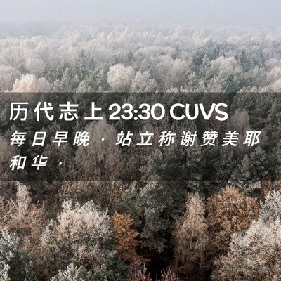 Picture 02 - 历 代 志 上 23:30 CUVS - 每 日 早 晚 ， 站 立 称 谢 赞 美 耶 - Bible Verse Picture