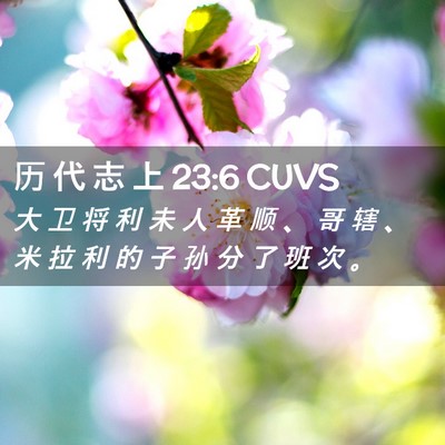 Picture 02 - 历 代 志 上 23:6 CUVS - 大 卫 将 利 未 人 革 顺 、 哥 辖 、 - Bible Verse Picture