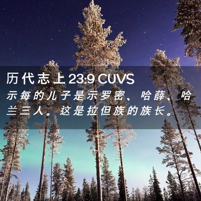 Picture 02 - 历 代 志 上 23:9 CUVS - 示 每 的 儿 子 是 示 罗 密 、 哈 薛 - Bible Verse Picture