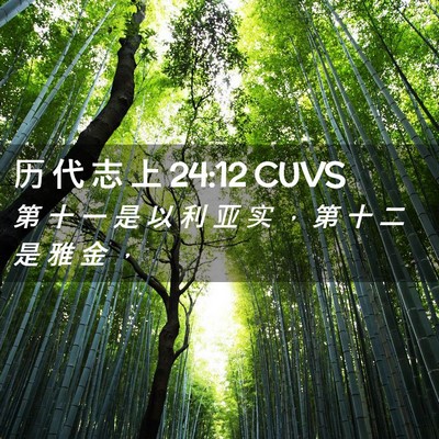 Picture 02 - 历 代 志 上 24:12 CUVS - 第 十 一 是 以 利 亚 实 ， 第 十 二 - Bible Verse Picture