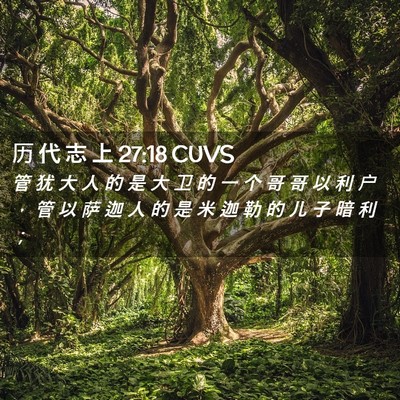 Picture 02 - 历 代 志 上 27:18 CUVS - 管 犹 大 人 的 是 大 卫 的 一 个 哥 - Bible Verse Picture