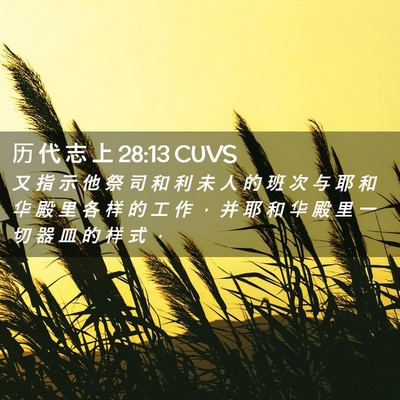 Picture 02 - 历 代 志 上 28:13 CUVS - 又 指 示 他 祭 司 和 利 未 人 的 班 - Bible Verse Picture