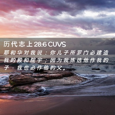 Picture 02 - 历 代 志 上 28:6 CUVS - 耶 和 华 对 我 说 ： 你 儿 子 所 罗 - Bible Verse Picture