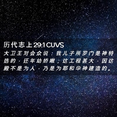 Picture 02 - 历 代 志 上 29:1 CUVS - 大 卫 王 对 会 众 说 ： 我 儿 子 所 - Bible Verse Picture