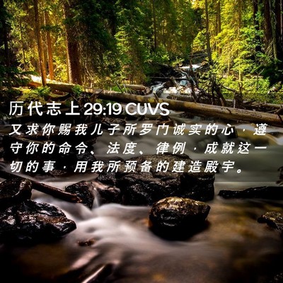 Picture 02 - 历 代 志 上 29:19 CUVS - 又 求 你 赐 我 儿 子 所 罗 门 诚 实 - Bible Verse Picture