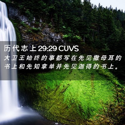 Picture 02 - 历 代 志 上 29:29 CUVS - 大 卫 王 始 终 的 事 都 写 在 先 见 - Bible Verse Picture