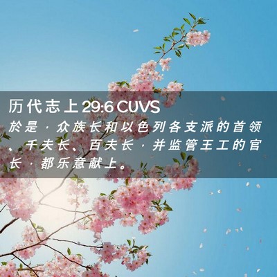Picture 02 - 历 代 志 上 29:6 CUVS - 於 是 ， 众 族 长 和 以 色 列 各 支 - Bible Verse Picture