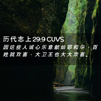 Picture 02 - 历 代 志 上 29:9 CUVS - 因 这 些 人 诚 心 乐 意 献 给 耶 和 - Bible Verse Picture