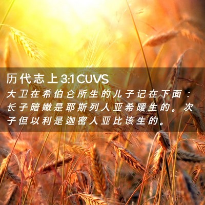 Picture 02 - 历 代 志 上 3:1 CUVS - 大 卫 在 希 伯 仑 所 生 的 儿 子 记 - Bible Verse Picture