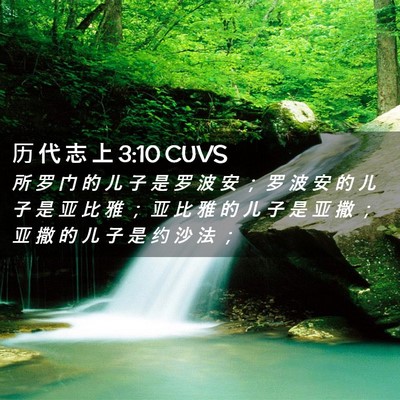Picture 02 - 历 代 志 上 3:10 CUVS - 所 罗 门 的 儿 子 是 罗 波 安 ； 罗 - Bible Verse Picture