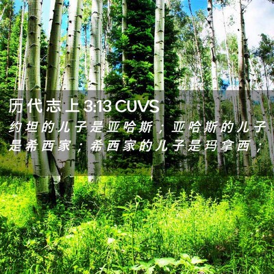 Picture 02 - 历 代 志 上 3:13 CUVS - 约 坦 的 儿 子 是 亚 哈 斯 ； 亚 哈 - Bible Verse Picture