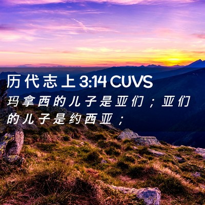 Picture 02 - 历 代 志 上 3:14 CUVS - 玛 拿 西 的 儿 子 是 亚 们 ； 亚 们 - Bible Verse Picture