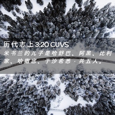 Picture 02 - 历 代 志 上 3:20 CUVS - 米 书 兰 的 儿 子 是 哈 舒 巴 、 阿 - Bible Verse Picture