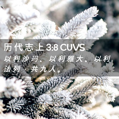 Picture 02 - 历 代 志 上 3:8 CUVS - 以 利 沙 玛 、 以 利 雅 大 、 以 利 - Bible Verse Picture