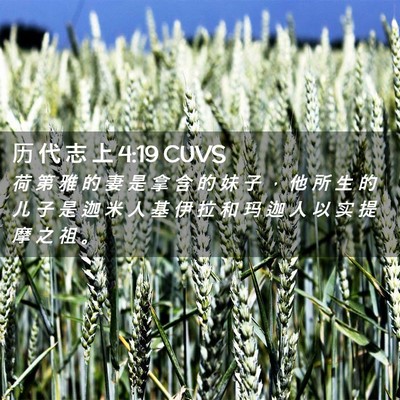 Picture 02 - 历 代 志 上 4:19 CUVS - 荷 第 雅 的 妻 是 拿 含 的 妹 子 ， - Bible Verse Picture