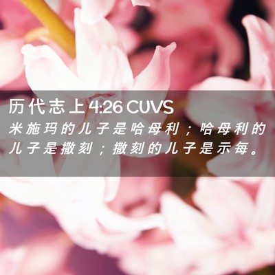 Picture 02 - 历 代 志 上 4:26 CUVS - 米 施 玛 的 儿 子 是 哈 母 利 ； 哈 - Bible Verse Picture