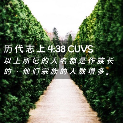 Picture 02 - 历 代 志 上 4:38 CUVS - 以 上 所 记 的 人 名 都 是 作 族 长 - Bible Verse Picture