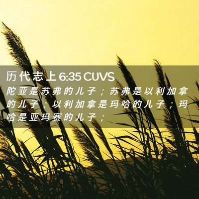 Picture 02 - 历 代 志 上 6:35 CUVS - 陀 亚 是 苏 弗 的 儿 子 ； 苏 弗 是 - Bible Verse Picture