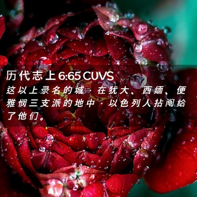 Picture 02 - 历 代 志 上 6:65 CUVS - 这 以 上 录 名 的 城 ， 在 犹 大 、 - Bible Verse Picture