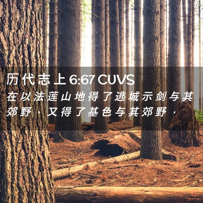 Picture 02 - 历 代 志 上 6:67 CUVS - 在 以 法 莲 山 地 得 了 逃 城 示 剑 - Bible Verse Picture