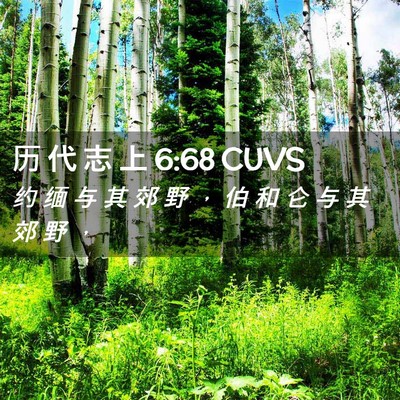 Picture 02 - 历 代 志 上 6:68 CUVS - 约 缅 与 其 郊 野 ， 伯 和 仑 与 其 - Bible Verse Picture