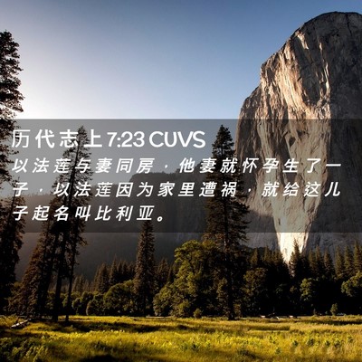 Picture 02 - 历 代 志 上 7:23 CUVS - 以 法 莲 与 妻 同 房 ， 他 妻 就 怀 - Bible Verse Picture