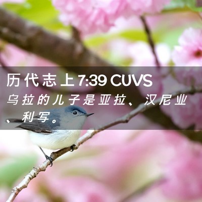 Picture 02 - 历 代 志 上 7:39 CUVS - 乌 拉 的 儿 子 是 亚 拉 、 汉 尼 业 - Bible Verse Picture