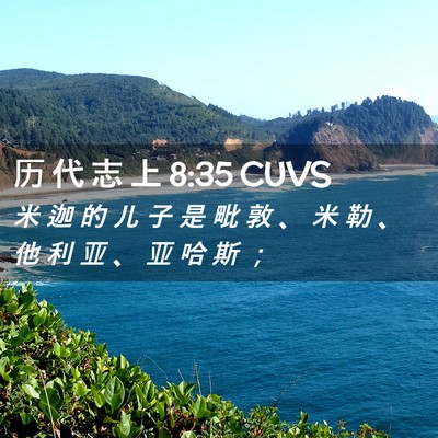 Picture 02 - 历 代 志 上 8:35 CUVS - 米 迦 的 儿 子 是 毗 敦 、 米 勒 、 - Bible Verse Picture