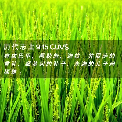 Picture 02 - 历 代 志 上 9:15 CUVS - 有 拔 巴 甲 、 黑 勒 施 、 迦 拉 ， - Bible Verse Picture