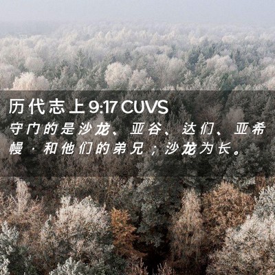 Picture 02 - 历 代 志 上 9:17 CUVS - 守 门 的 是 沙 龙 、 亚 谷 、 达 们 - Bible Verse Picture