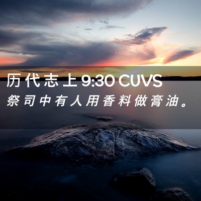Picture 02 - 历 代 志 上 9:30 CUVS - 祭 司 中 有 人 用 香 料 做 膏 油 - Bible Verse Picture