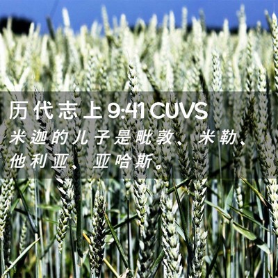 Picture 02 - 历 代 志 上 9:41 CUVS - 米 迦 的 儿 子 是 毗 敦 、 米 勒 、 - Bible Verse Picture