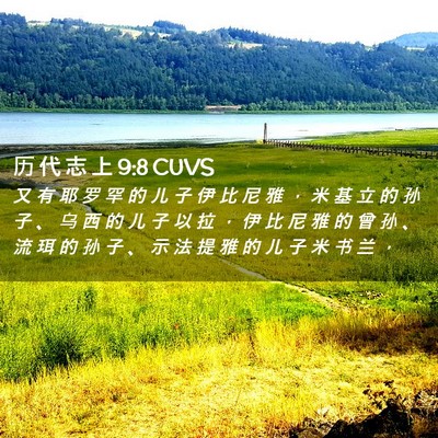 Picture 02 - 历 代 志 上 9:8 CUVS - 又 有 耶 罗 罕 的 儿 子 伊 比 尼 雅 - Bible Verse Picture