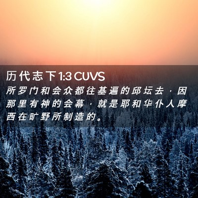 Picture 02 - 历 代 志 下 1:3 CUVS - 所 罗 门 和 会 众 都 往 基 遍 的 邱 - Bible Verse Picture