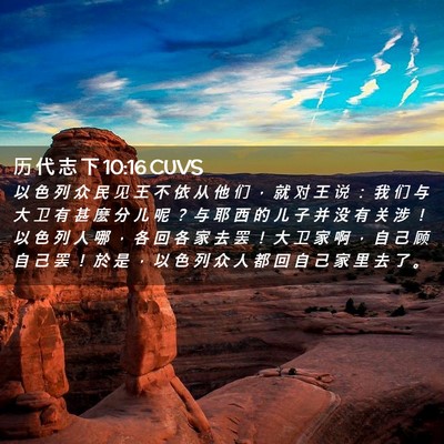 Picture 02 - 历 代 志 下 10:16 CUVS - 以 色 列 众 民 见 王 不 依 从 他 们 - Bible Verse Picture
