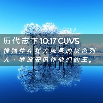 Picture 02 - 历 代 志 下 10:17 CUVS - 惟 独 住 在 犹 大 城 邑 的 以 色 列 - Bible Verse Picture