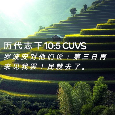 Picture 02 - 历 代 志 下 10:5 CUVS - 罗 波 安 对 他 们 说 ： 第 三 日 再 - Bible Verse Picture