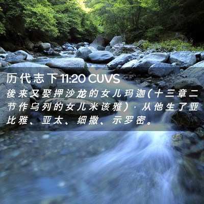 Picture 02 - 历 代 志 下 11:20 CUVS - 後 来 又 娶 押 沙 龙 的 女 儿 玛 迦 ( - Bible Verse Picture